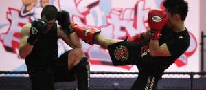Muay Thai Kickboxing