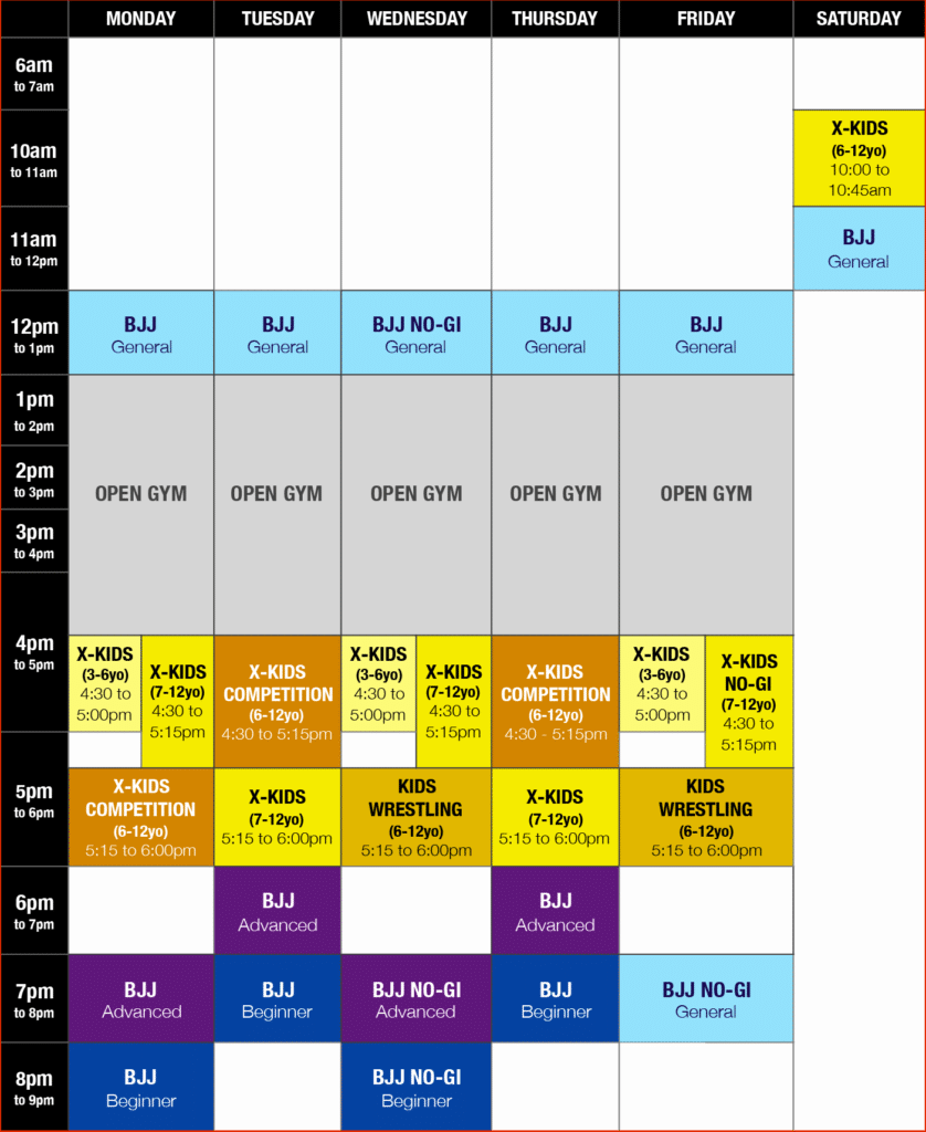 Mixed Martial Arts MMA Chadstone Brazilian JIUJITSU Program