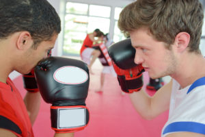 boxing partner