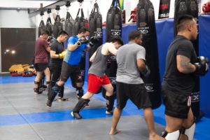 Melbourne MMA training