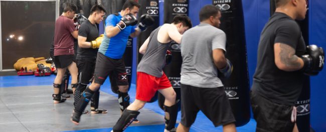 Melbourne MMA training