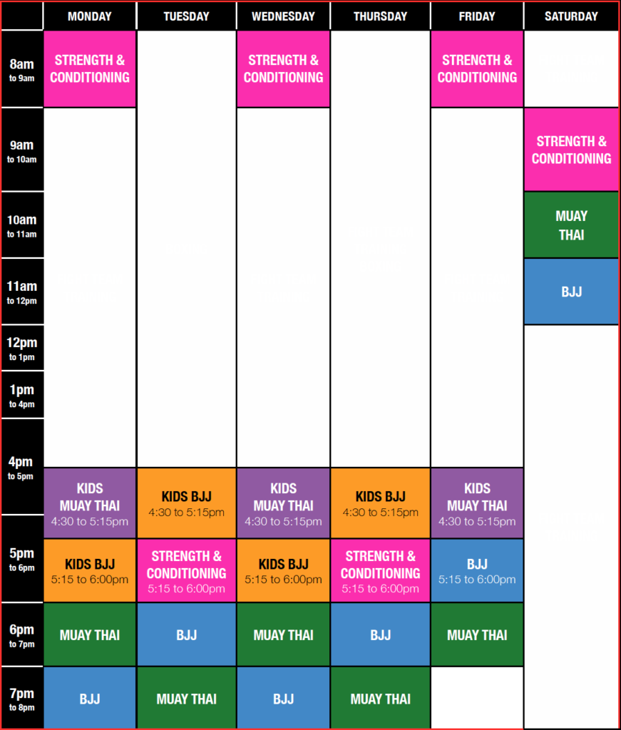 Mixed Martial Arts MMA Chadstone Brazilian Jiujitsu Program
